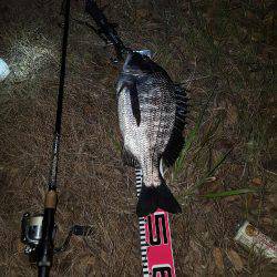 ホンマすっきゃねぇ~