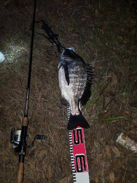 ホンマすっきゃねぇ～