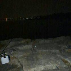 ボラまみれのなか…