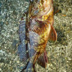 雨あがりからの強風