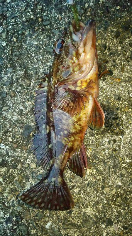 雨あがりからの強風