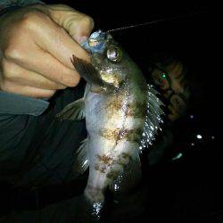 激渋モードに入った感じがしますね～