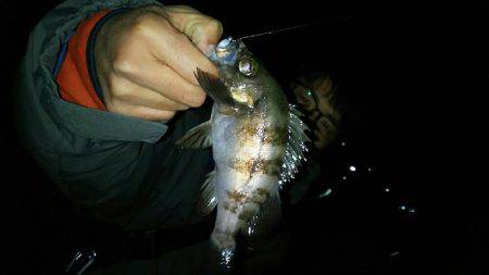 激渋モードに入った感じがしますね～