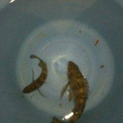 淡路島観光ホテルさんに行って来ました。