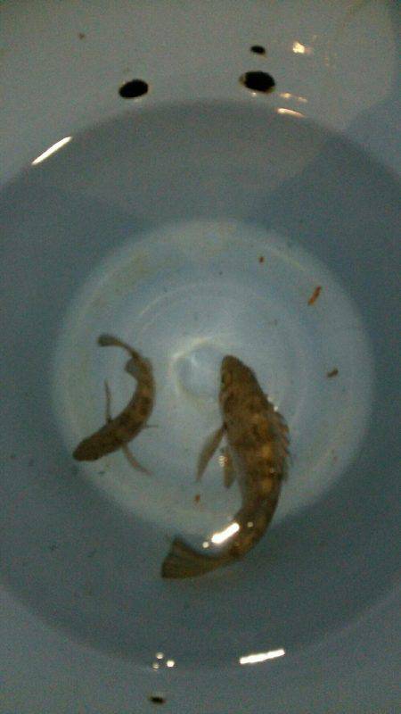 淡路島観光ホテルさんに行って来ました。