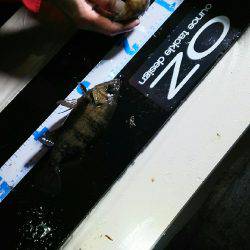 オンスタックルさんのラウンドトリップに参加して来ました！