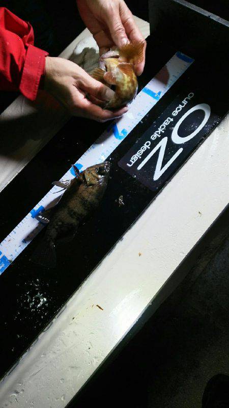 オンスタックルさんのラウンドトリップに参加して来ました！