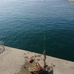 本命以外にみんなの思いも釣り上げました‼️