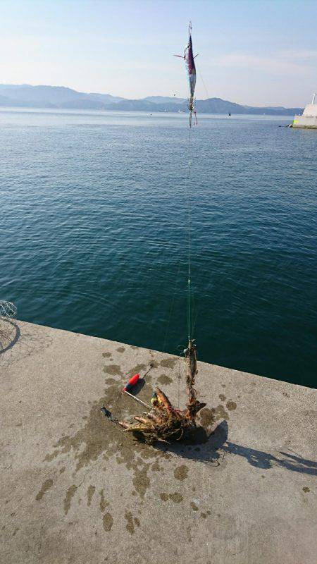 本命以外にみんなの思いも釣り上げました‼️