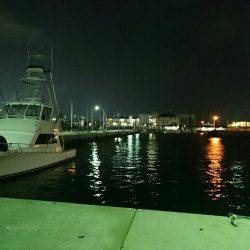 赤潮、プラッキング