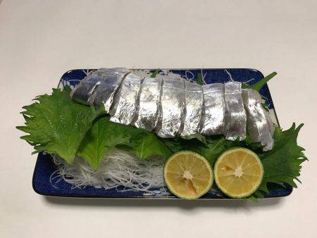 洲本沖  太刀魚 テンヤ