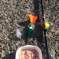 南紀遠征＆投げ練で良型チヌ