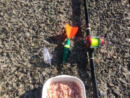 南紀遠征＆投げ練で良型チヌ