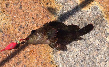 穴釣りでロック！