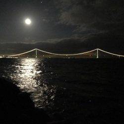 ゲキ渋メバリング