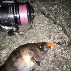 プラッキングオンリーで頑張るつもりが……