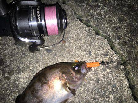 プラッキングオンリーで頑張るつもりが……