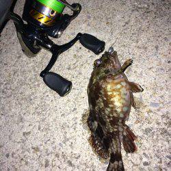 メバリング・ガシリング