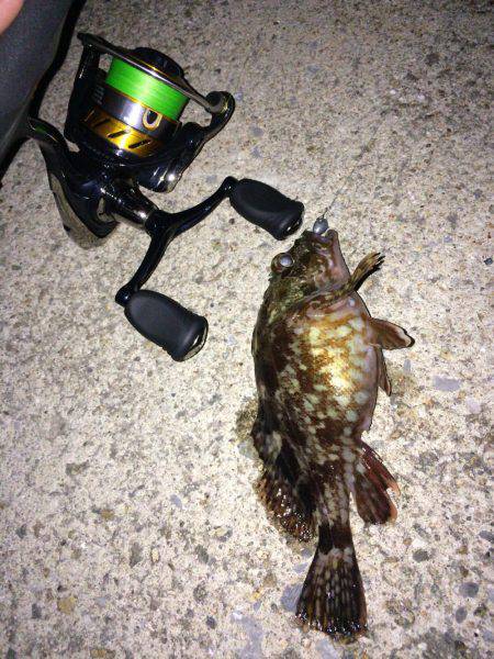 メバリング・ガシリング