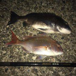 赤×黒ノッコミGet