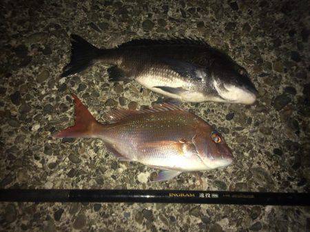 赤×黒ノッコミGet