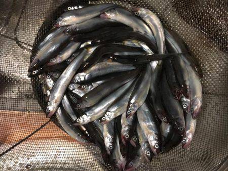 聞いてたのと違う！