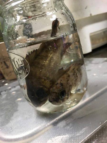 やっぱり釣れる釣りを、、、