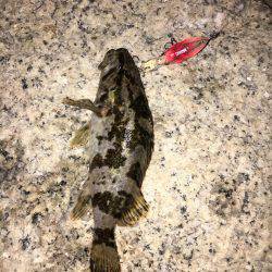 仕事終わりに…