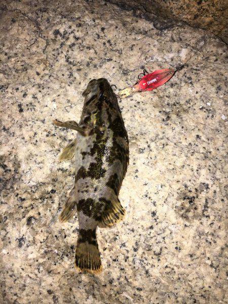 仕事終わりに…