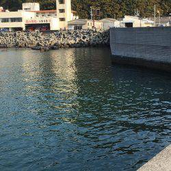 春イカ求めて 南紀釣行