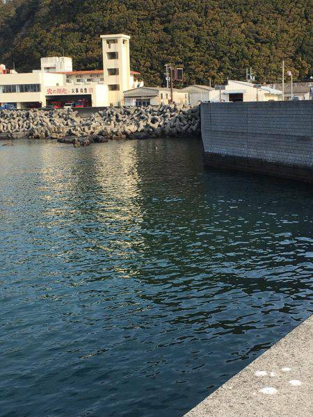 春イカ求めて 南紀釣行