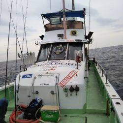 イカメタル&ヒラメ