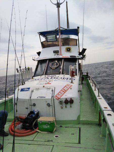 イカメタル&ヒラメ