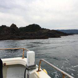 乗っ込みチヌ磯フカセ釣り