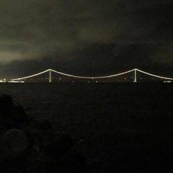 強風プラッキング