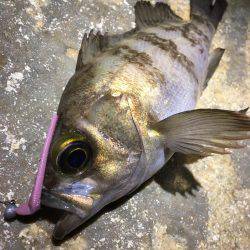 満潮で荒れてました。