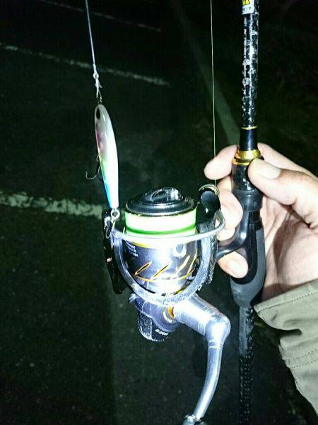 プラッキングメバル