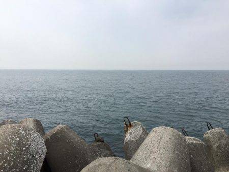 ショアジギング