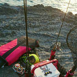 尺メバル狙うも惨敗。