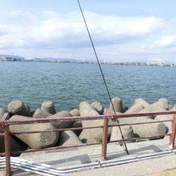 本命キタコレ!!