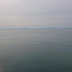 久しぶりのタコ