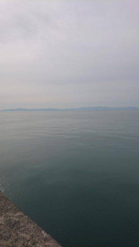 久しぶりのタコ