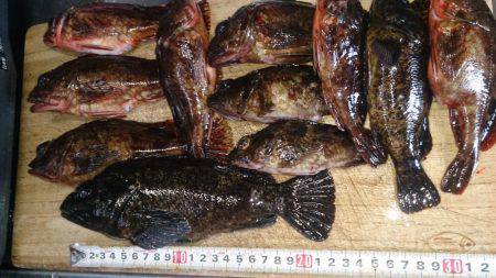 磯釣りのちタチウオ