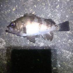 風があろうが。