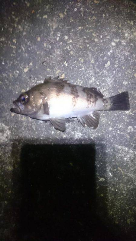 風があろうが。