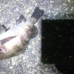 よくなってきたかな?