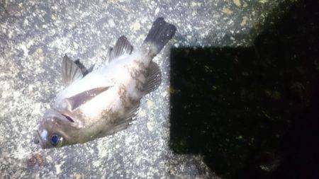 よくなってきたかな?