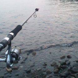 ショアジギング釣行