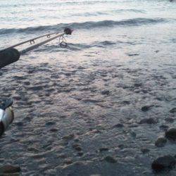 ショアジギング釣行