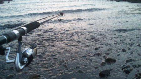 ショアジギング釣行